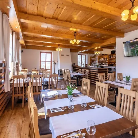 Guest house Zamecky Dvur Cernousy 3*