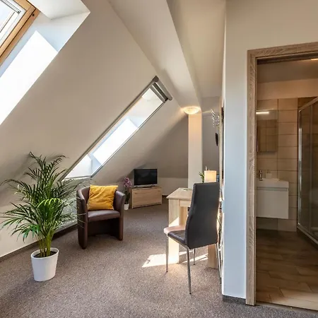 Πανσιόν Zamecky Dvur Cernousy