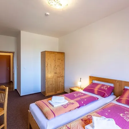 Pensjonat Zamecky Dvur Cernousy 4*