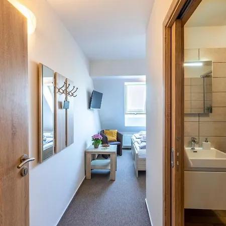 Guest house Zamecky Dvur Cernousy 3*