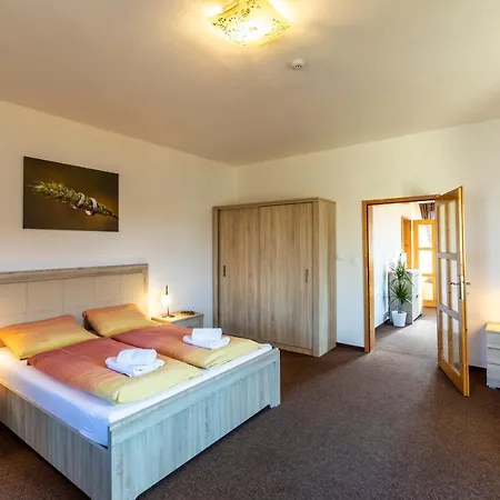 Guest house Zamecky Dvur Cernousy