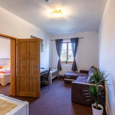 Guest house Zamecky Dvur Cernousy