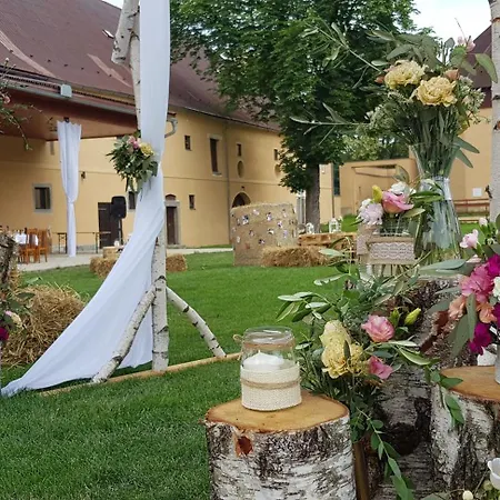 Guest house Zamecky Dvur Cernousy