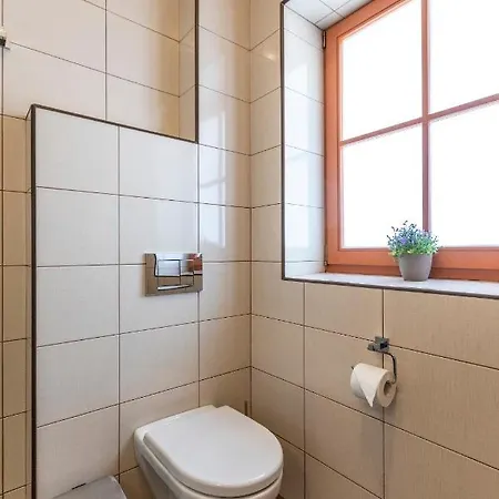 Zamecky Dvur Cernousy