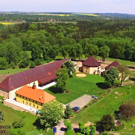 Guest house Zamecky Dvur Cernousy 3*