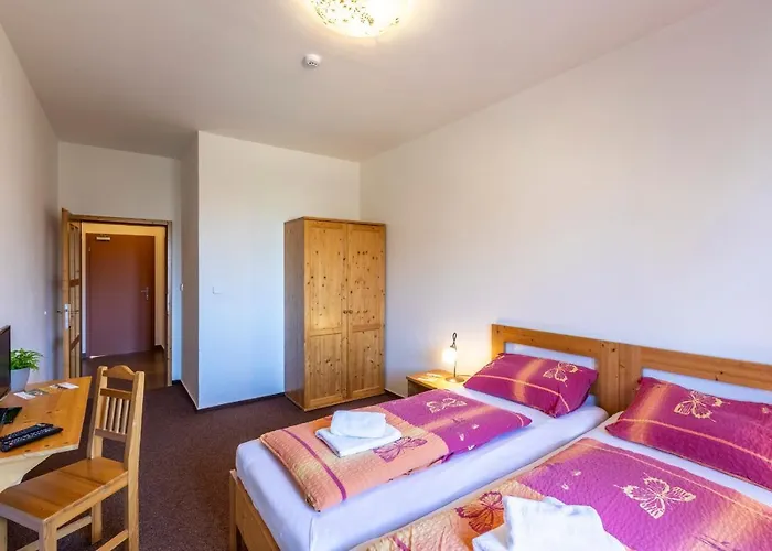 Gasthof Zamecky Dvur Cernousy 4*