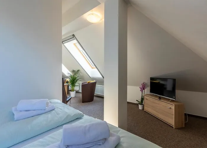 Gasthof Zamecky Dvur Cernousy 4*