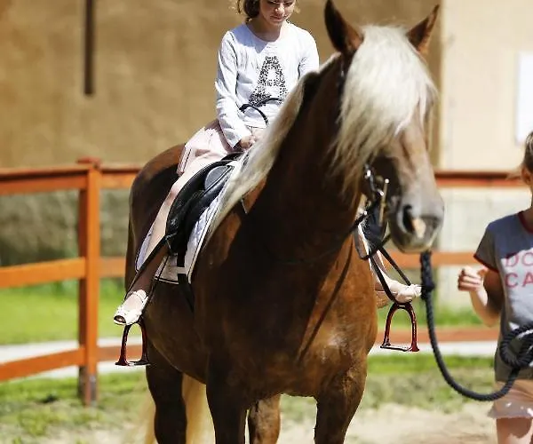 Zámecký Dvůr černousy V Poli