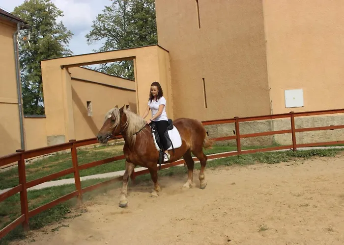 Gasthof Zamecky Dvur Cernousy V Poli
