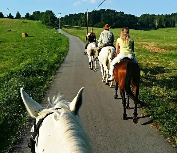 Gasthof Zamecky Dvur Cernousy 4*